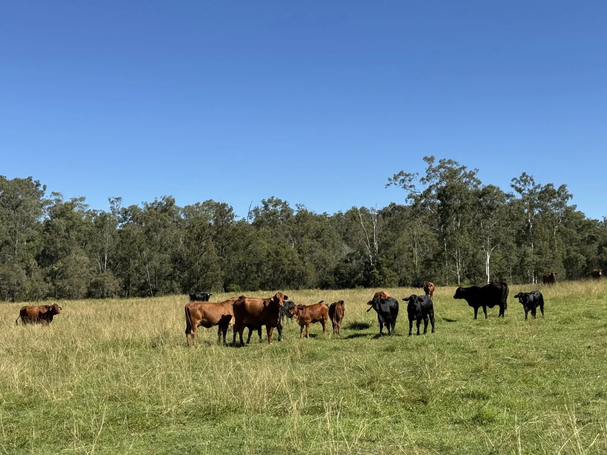 Additional image 21 of 845 Fireclay Road, Kalpowar QLD 4630