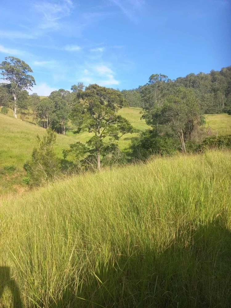 Additional image 5 of Comara NSW 2440