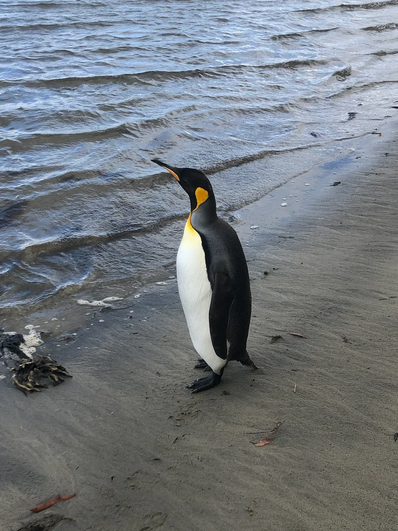 Additional image 23 of 100 Cockle Creek Road, Recherche TAS 7109