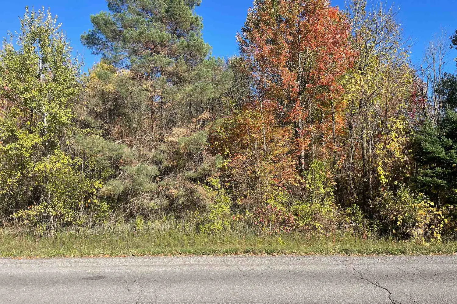 Additional image 2 of 22987 Highway 7 Highway