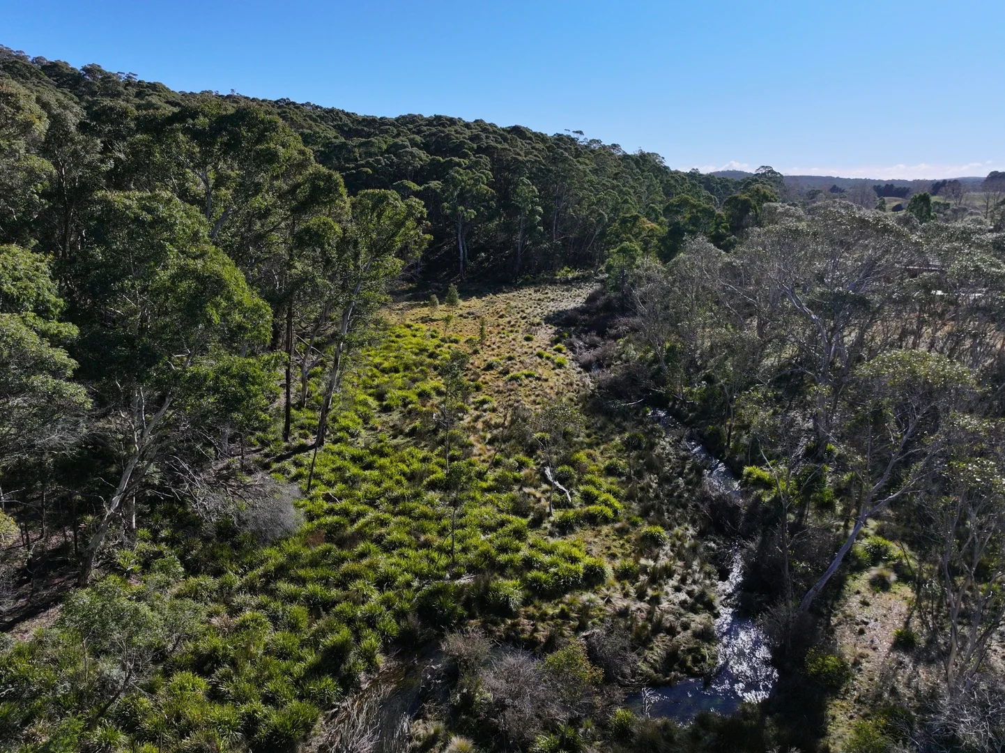 Additional image 6 of 4651 Kings Highway, Braidwood NSW 2622