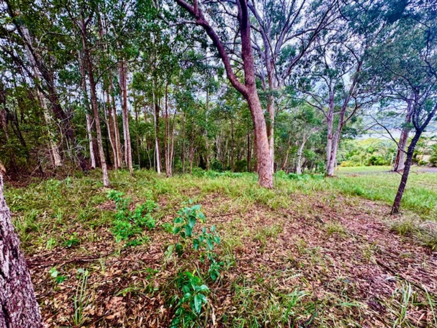 Additional image 3 of Lot 2 Leichhardt Terrace, Russell Island QLD 4184