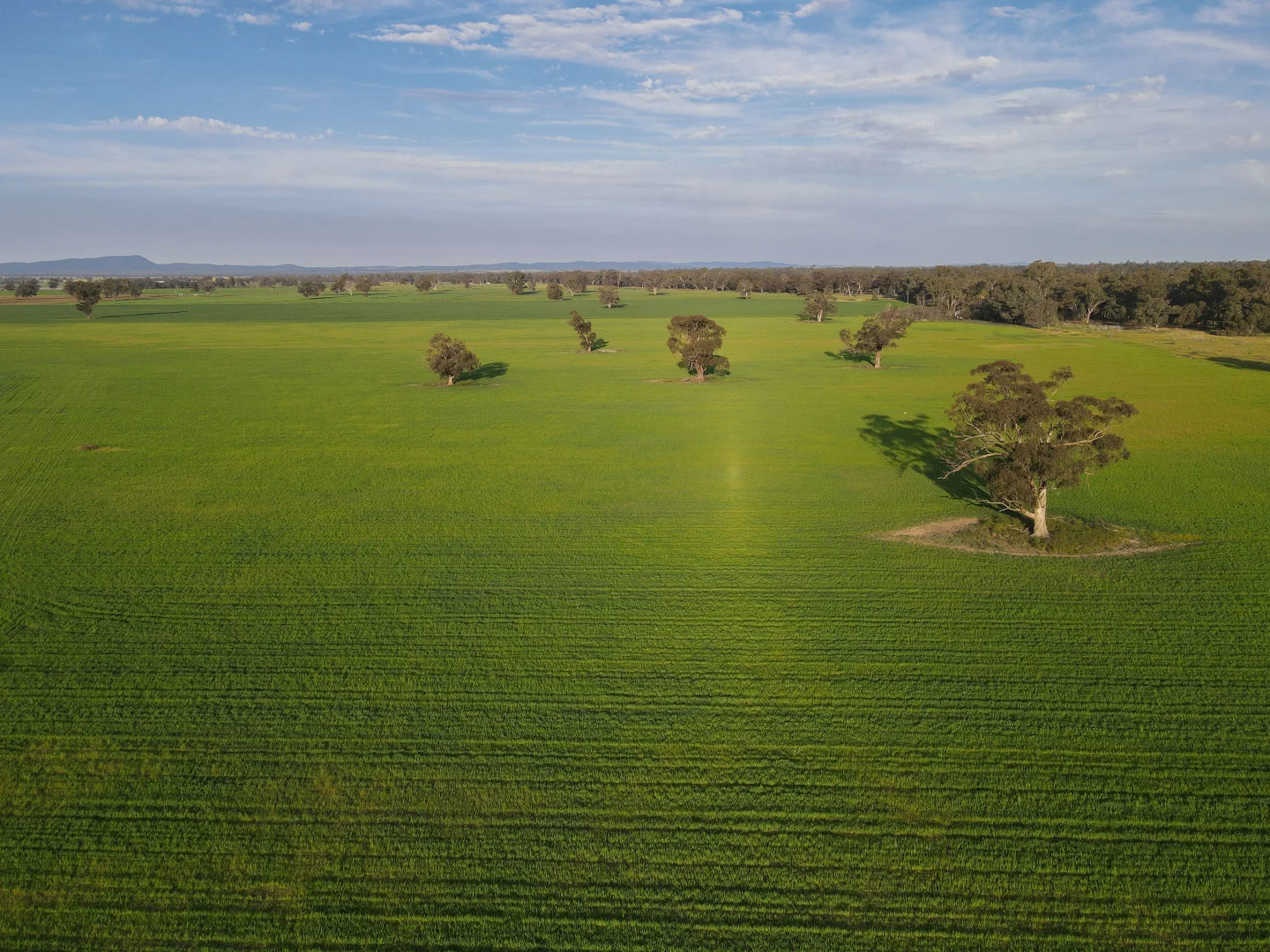 Additional image 15 of 11025 "Lima" The Escort Way, Forbes NSW 2871