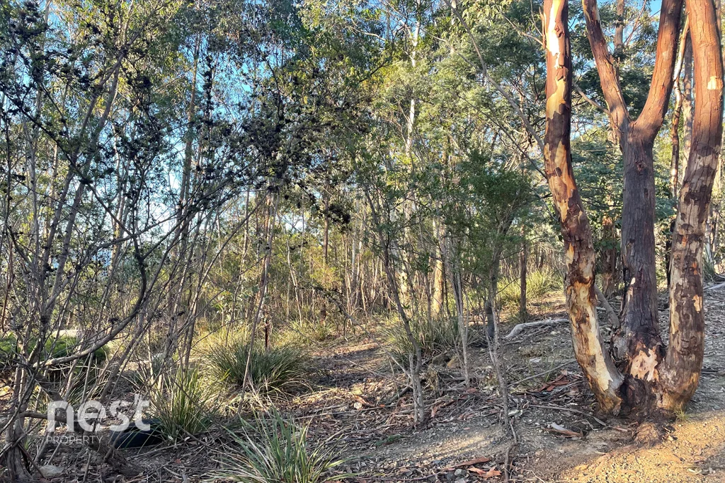 Additional image 4 of 31 Stewart Crescent, Taroona TAS 7053