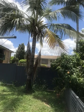 Additional image 27 of 19 Perry Street, Churchill QLD 4305