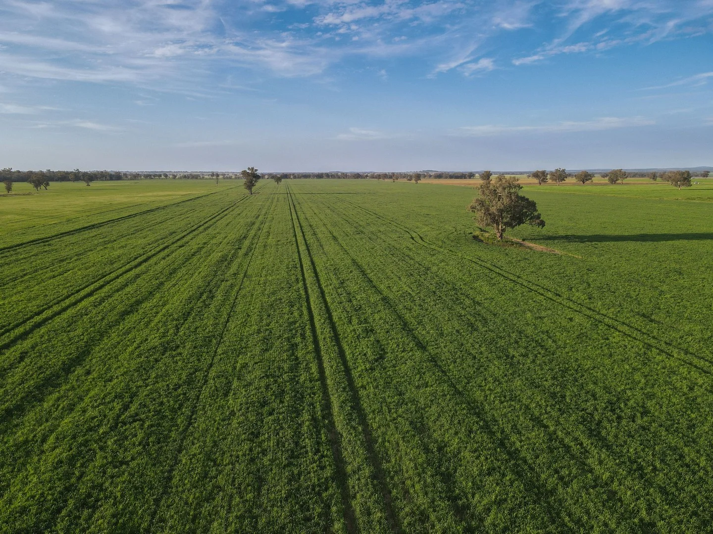 11025 "Lima" The Escort Way, Forbes NSW 2871