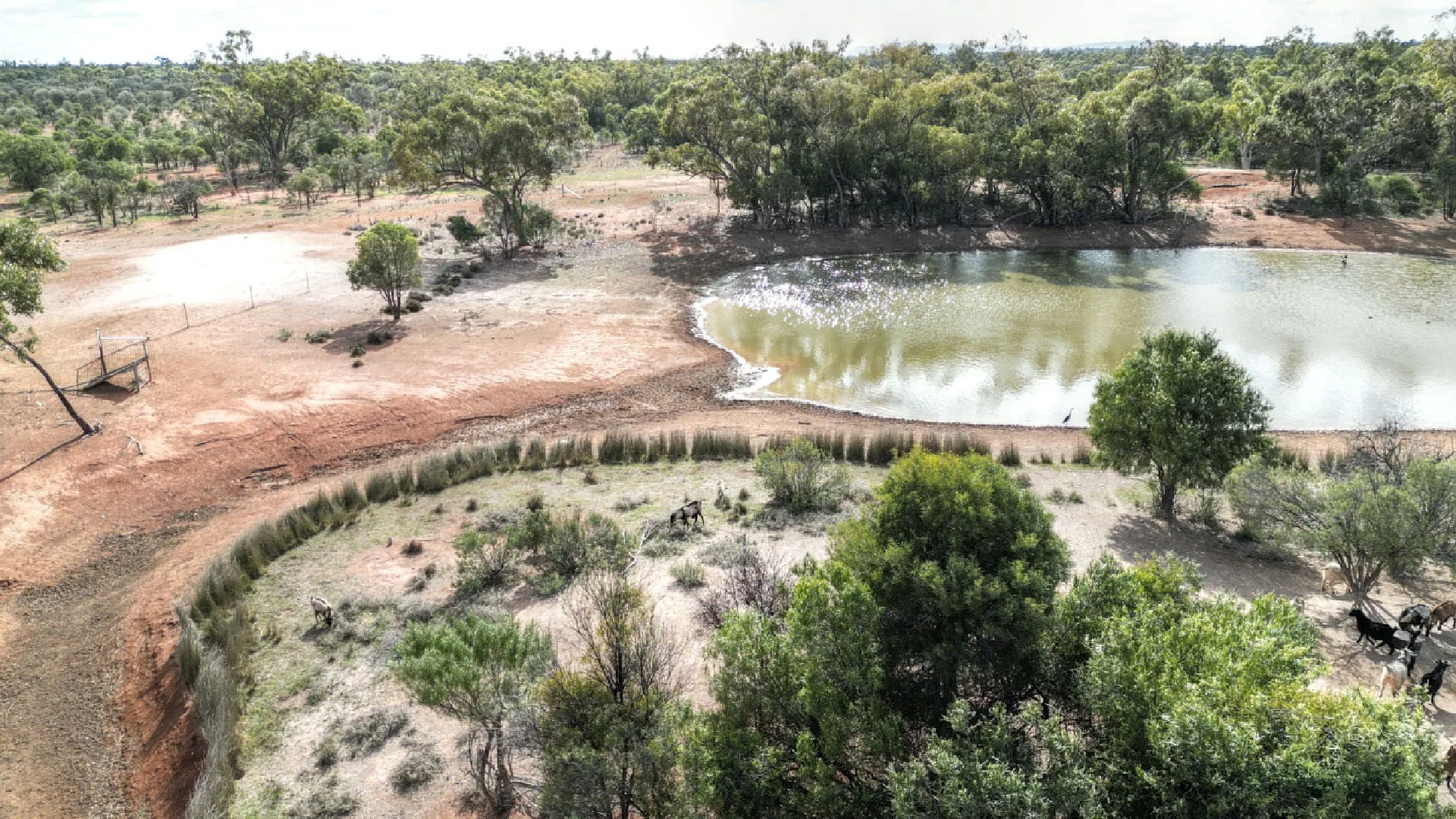 Additional image 3 of "Nardoo" Station 872 Davidson Road, Gunderbooka NSW 2840