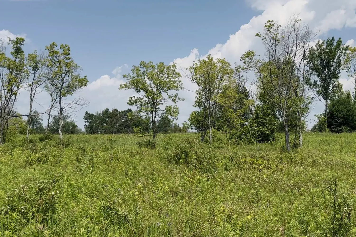 Additional image 10 of 420 Victoria Beach Road