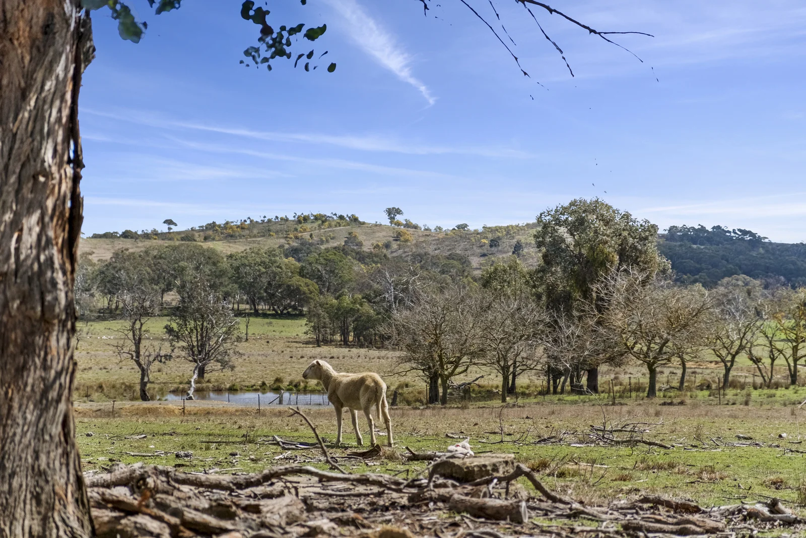 Additional image 30 of 512 Dicks Creek Road, Nanima NSW 2582