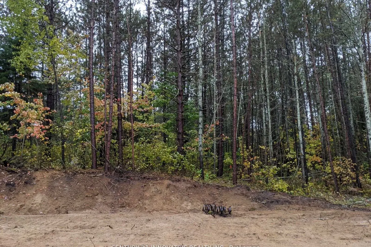 Additional image 7 of 57 Bird Lake Road
