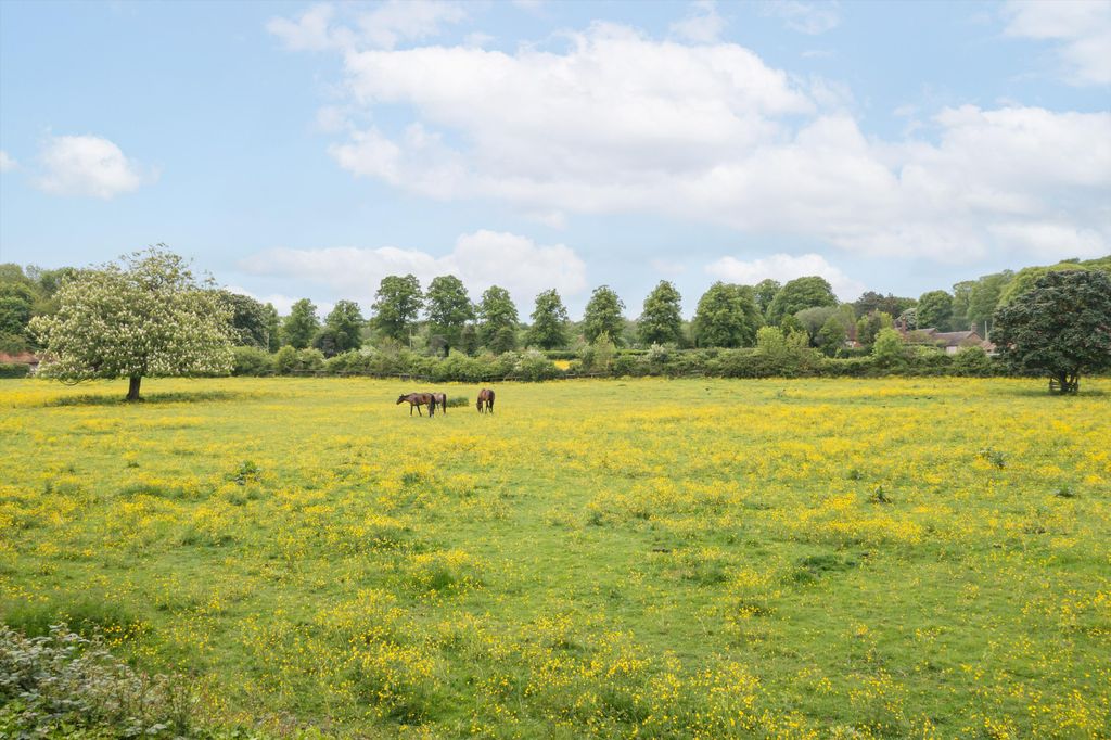 Additional image 11 of 8 bed detached house to rentHampstead Norreys, Newbury, Berkshire RG18