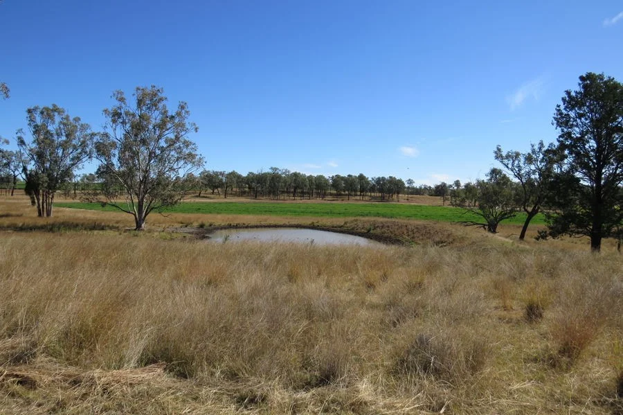 Additional image 3 of 329 Pickfords Road, Yetman NSW 2410