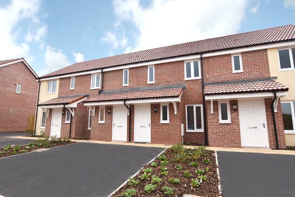 2 bed terraced house to rentExeter, Devon EX1