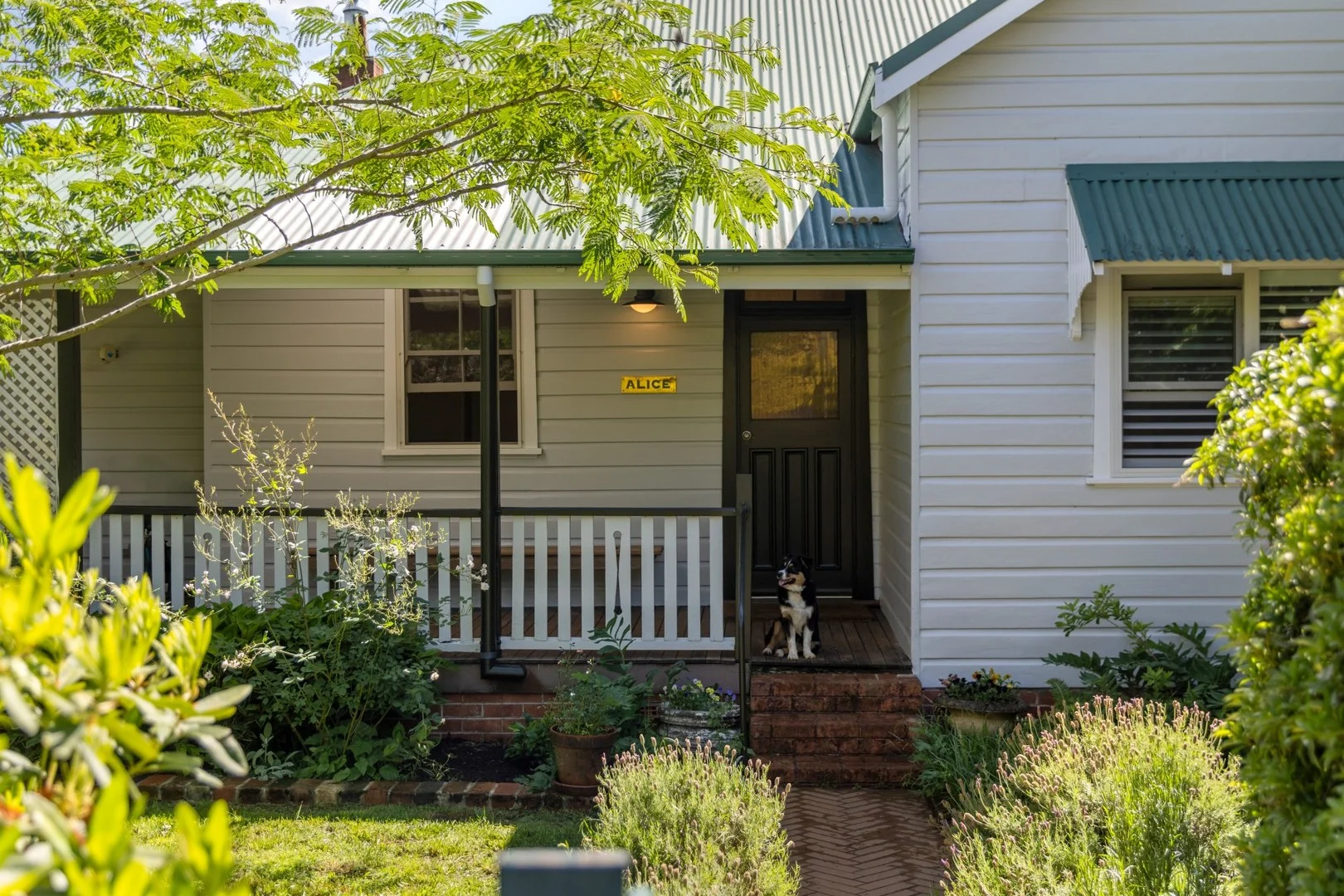 10 Oak St, Dorrigo NSW 2453