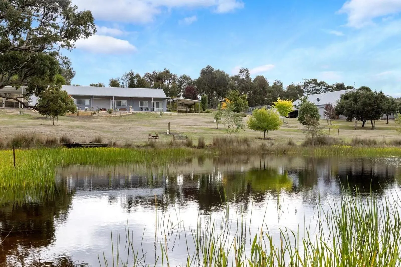 Additional image 5 of 265 Pudding Bag Road, Drummond VIC 3461