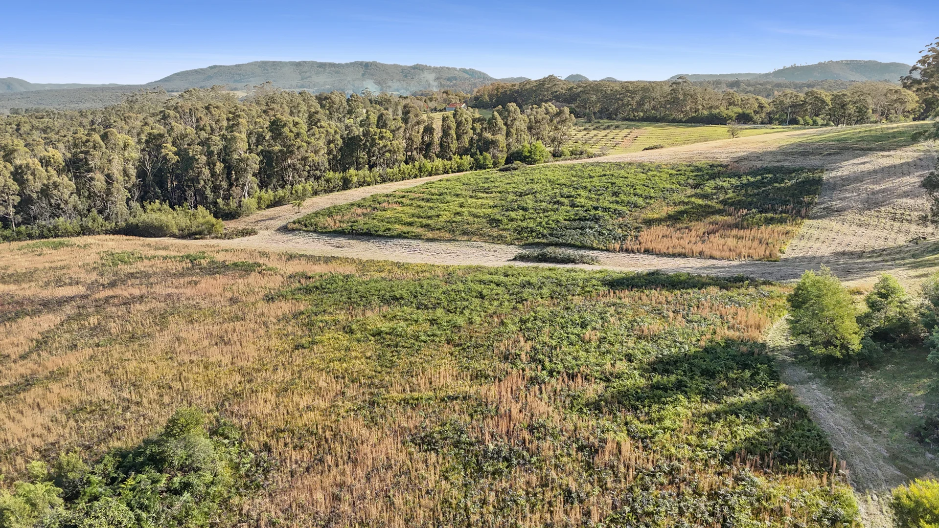 Additional image 5 of 2861 Bells Line Of Road, Bilpin NSW 2758