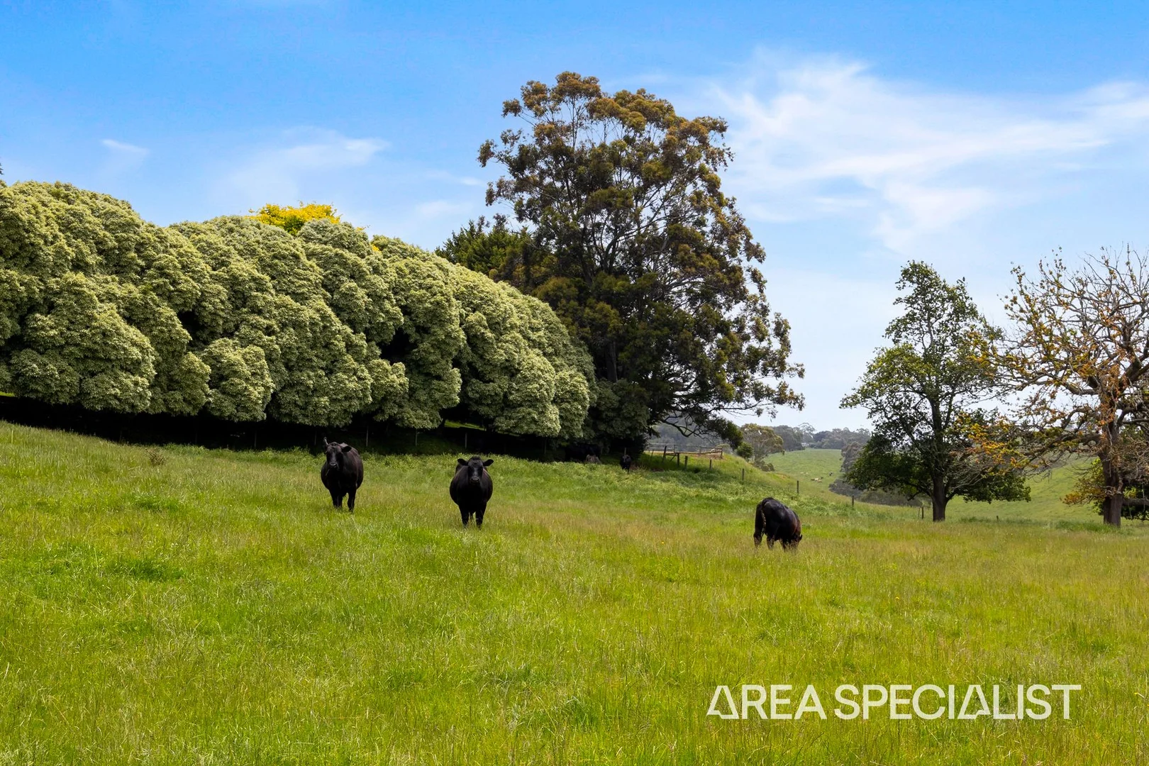 Additional image 4 of 45 Stuart Street, Korumburra VIC 3950