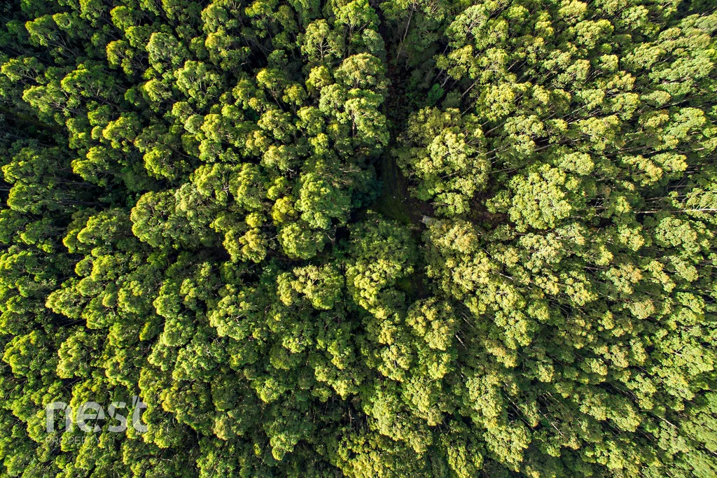 Additional image 3 of Lot 2 Slab Road, Middleton TAS 7163