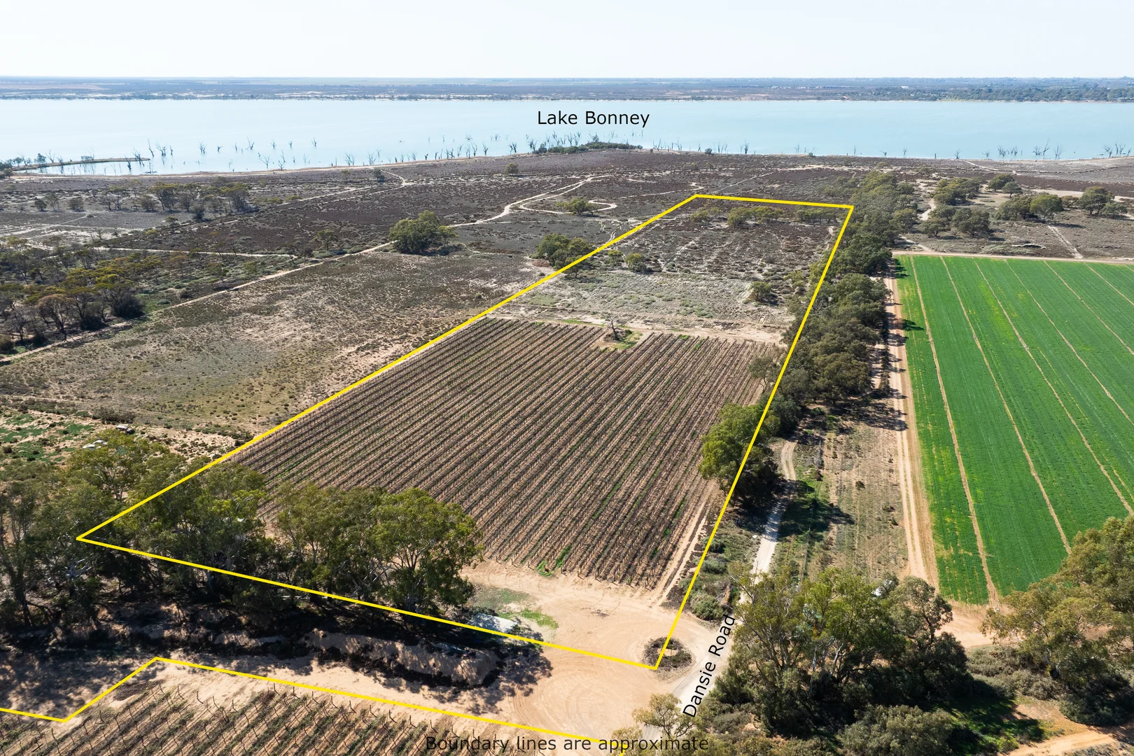 Additional image 2 of Lot 12 Dansie Road, Barmera SA 5345