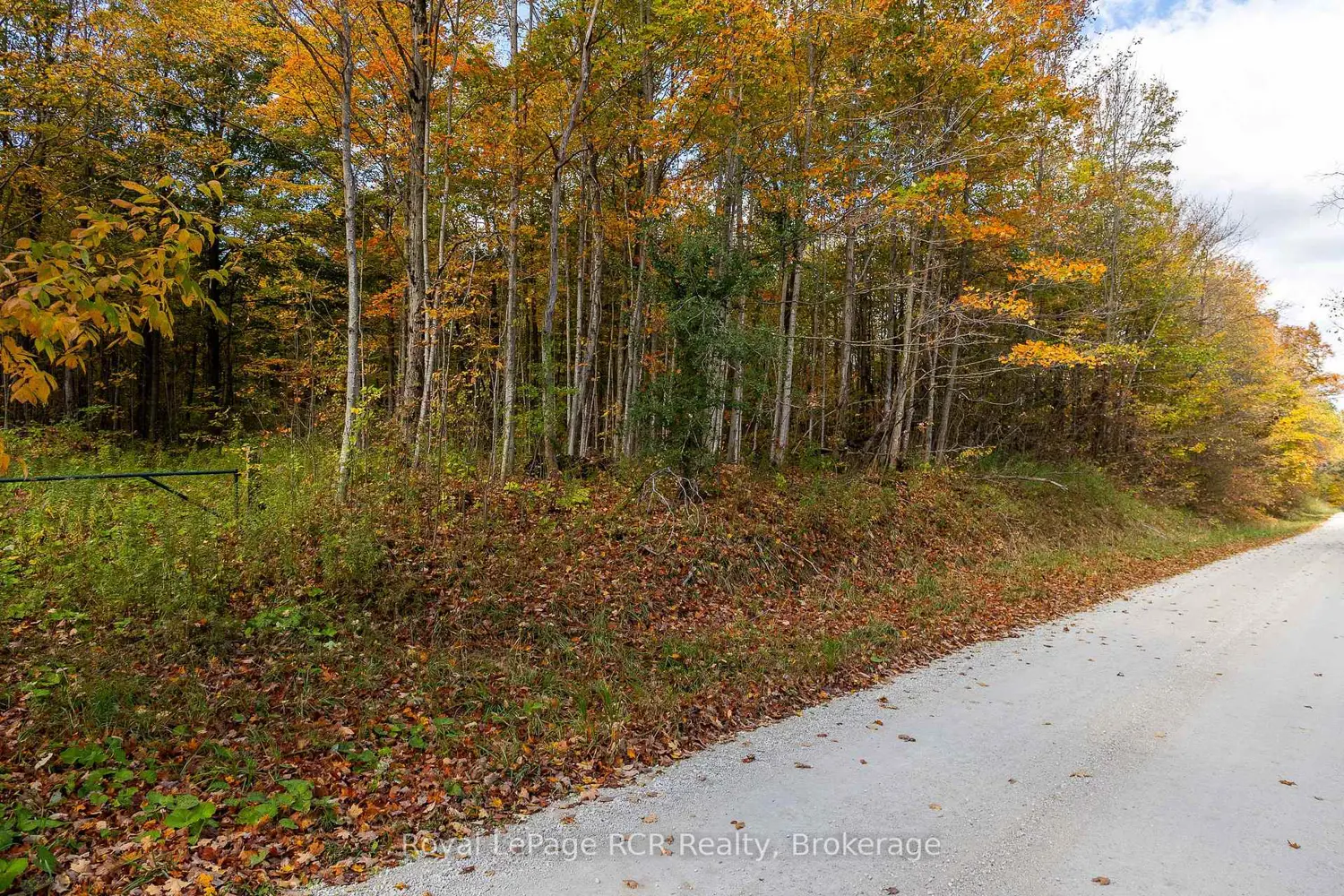 Additional image 5 of 00 9Th Line