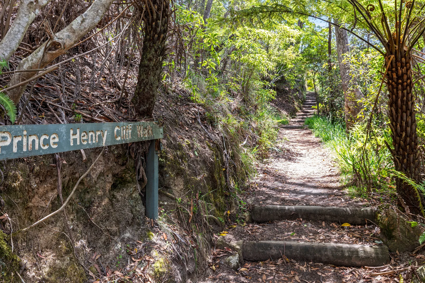 Additional image 19 of 10 Banksia Park Rd, Katoomba NSW 2780