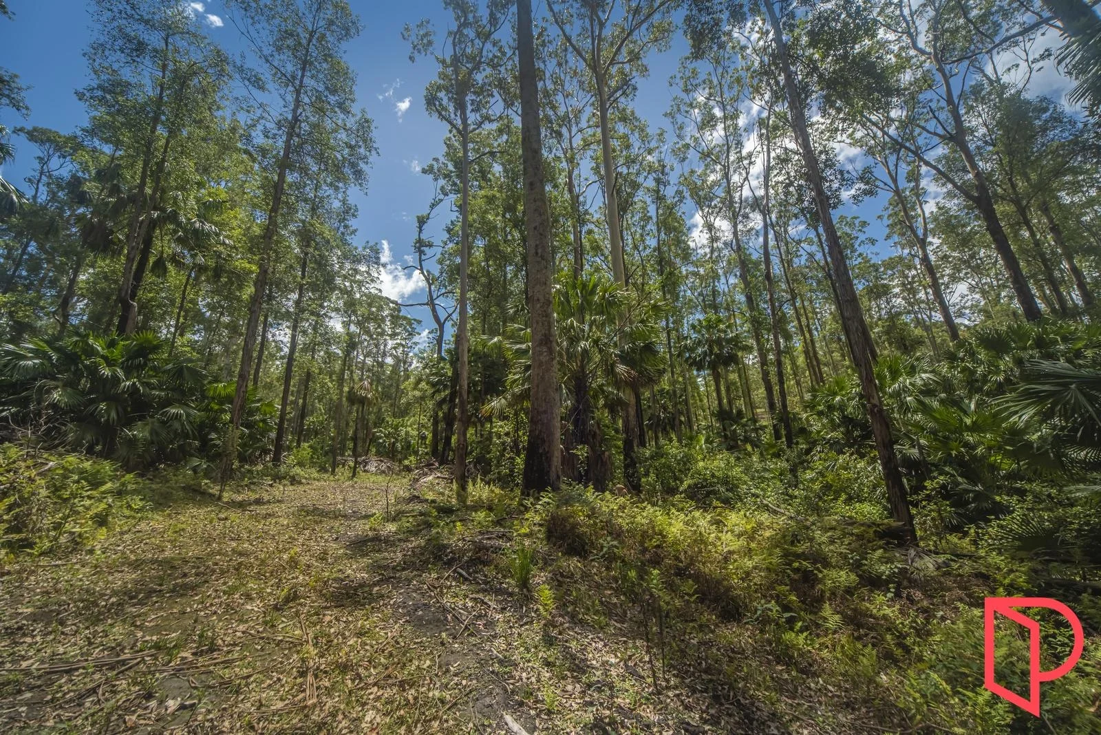 Additional image 6 of 42 Turpentine Road, Tomerong NSW 2540