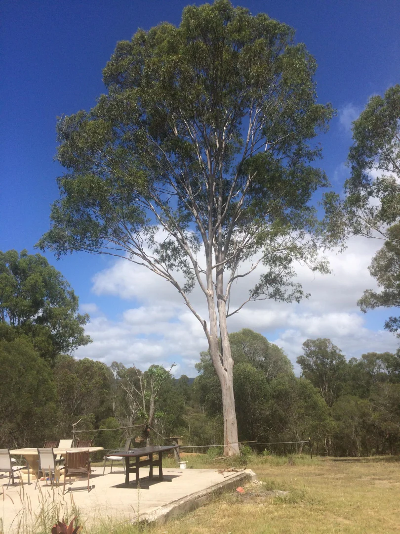 Additional image 9 of Cootharaba QLD 4565