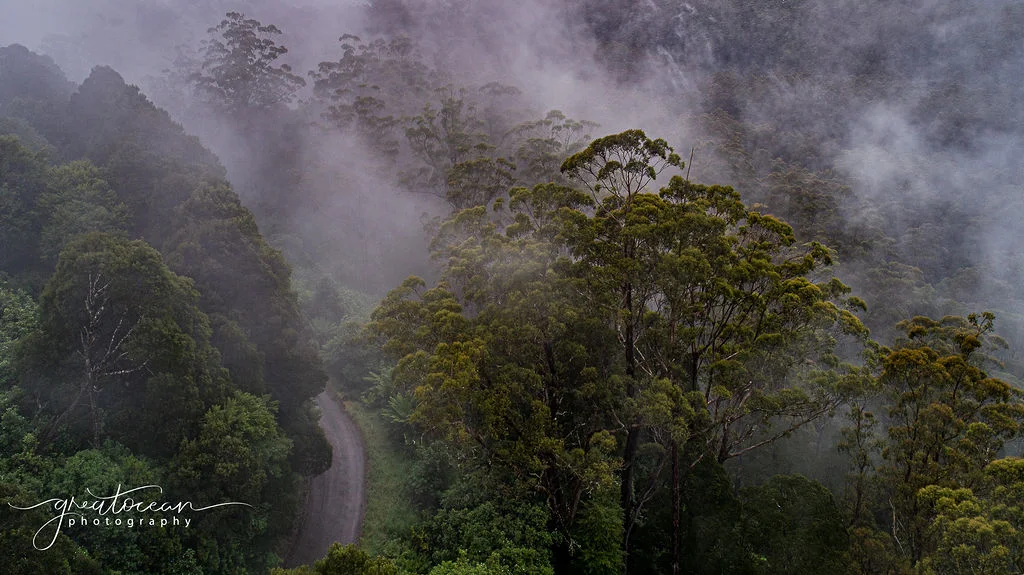 Additional image 10 of 19A, B & C Lavers Hill-Cobden Road, Lavers Hill VIC 3238