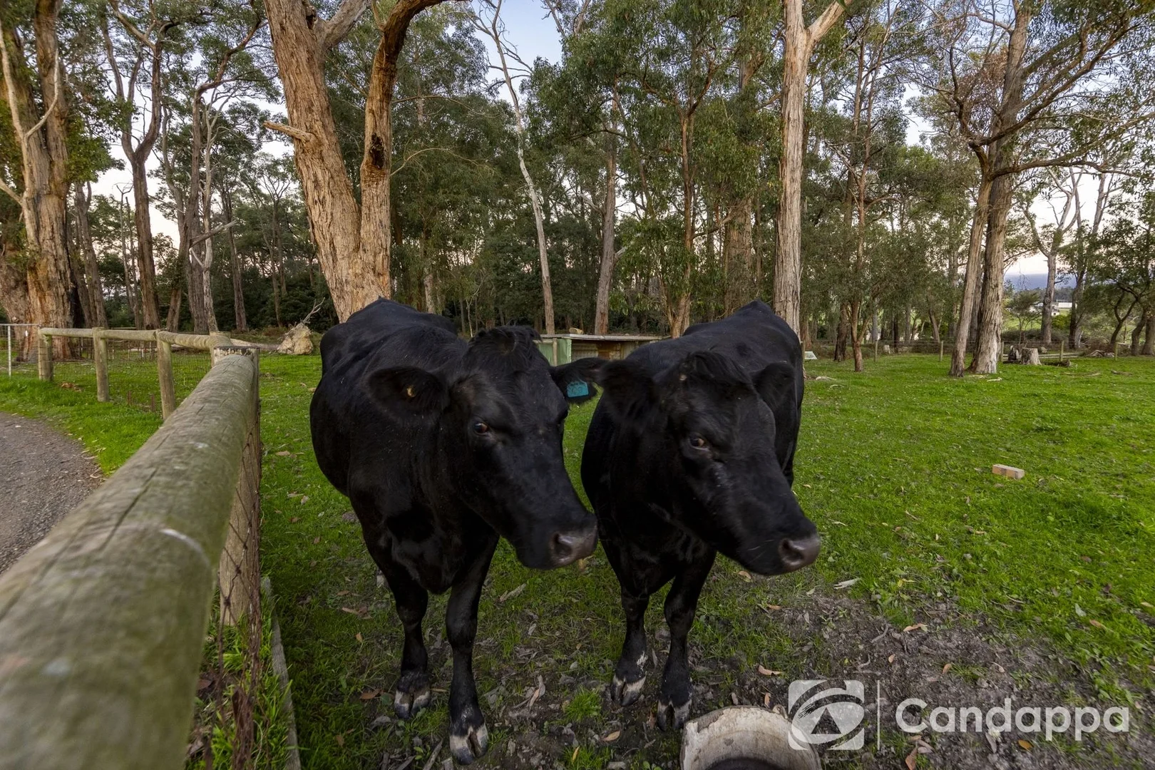 Additional image 4 of 590 Drouin-Korumburra Road, Drouin South VIC 3818