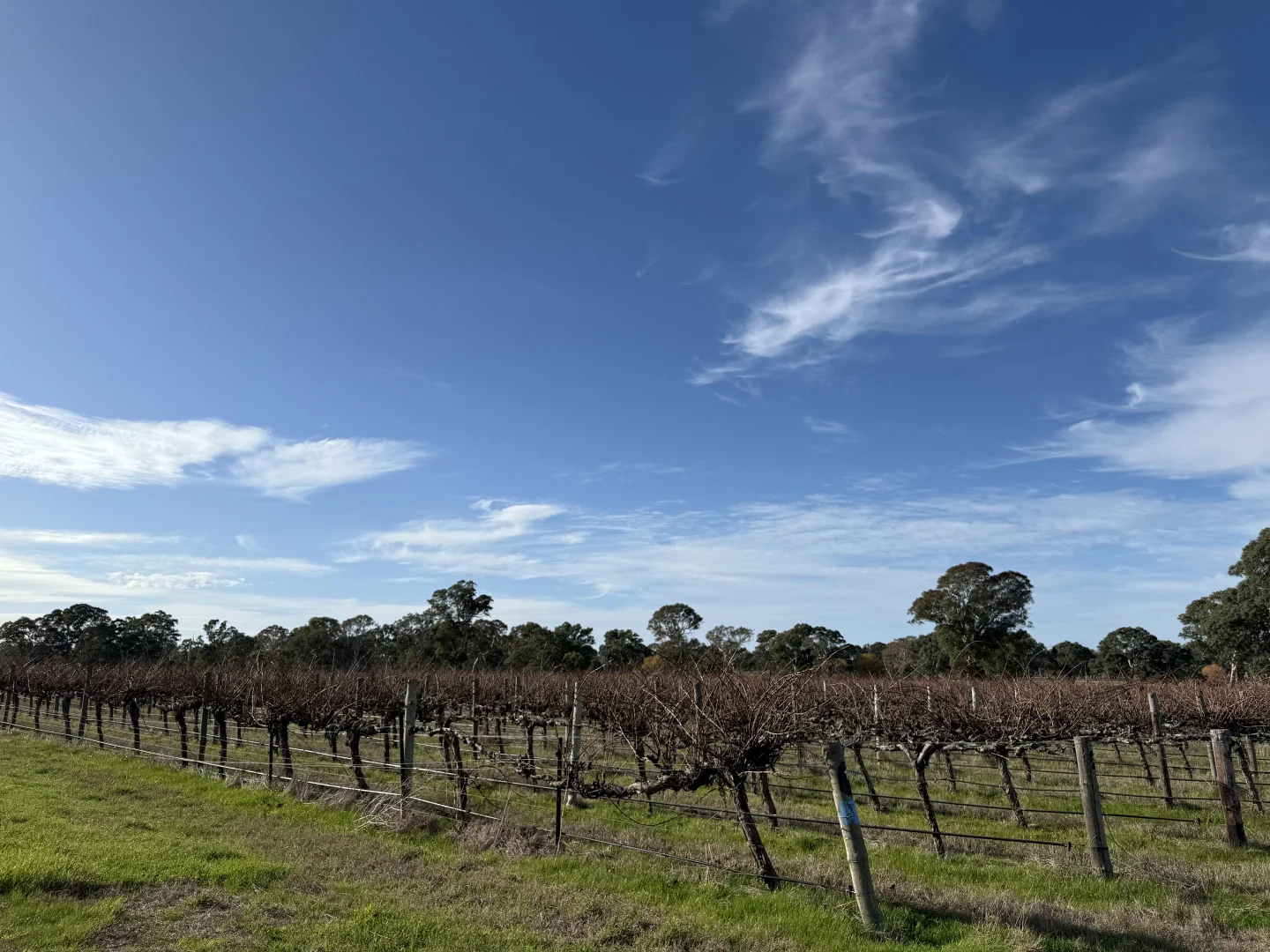 Additional image 8 of Lot 103 Dergholm Road, Penola SA 5277