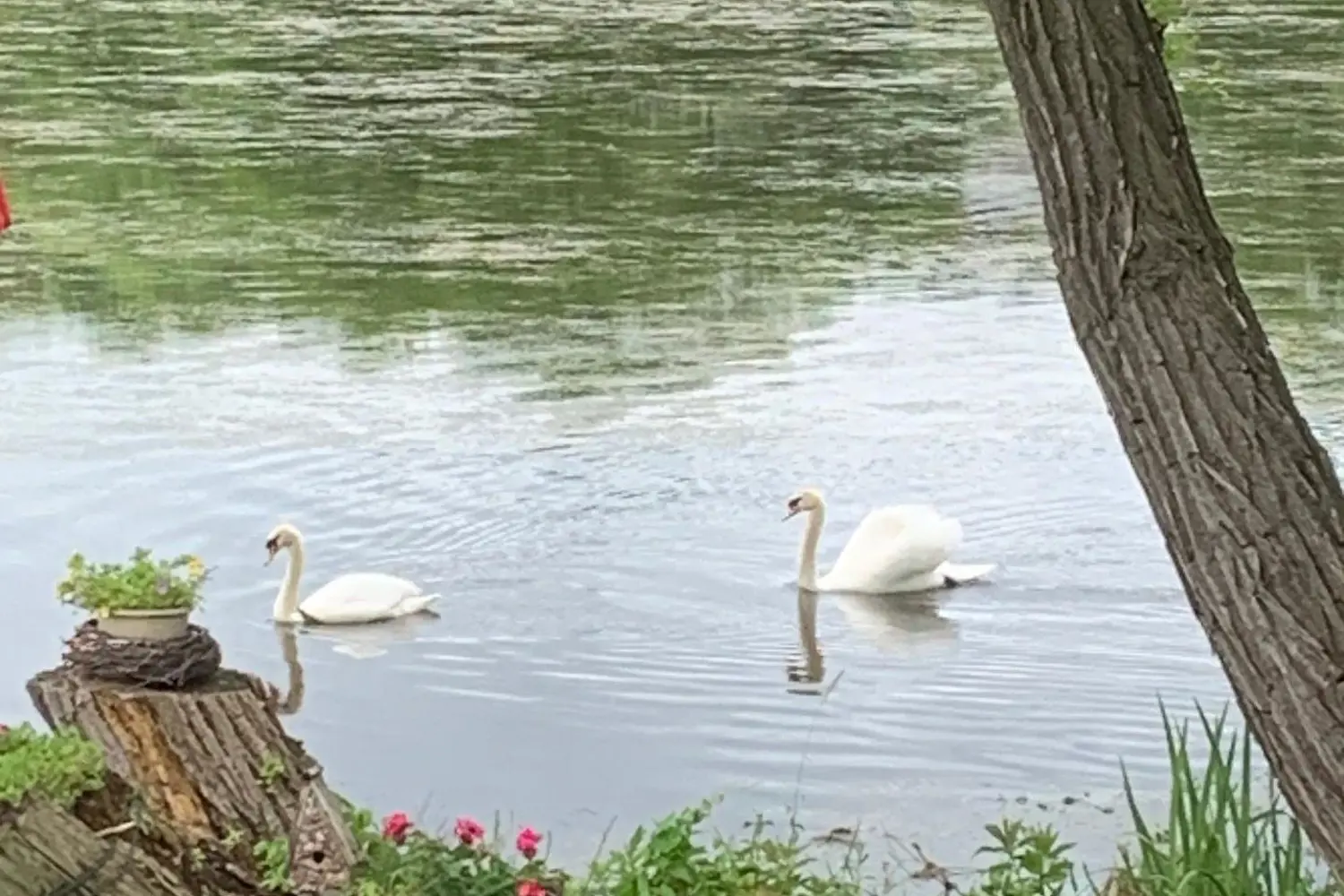 Additional image 20 of 59 King Street 22