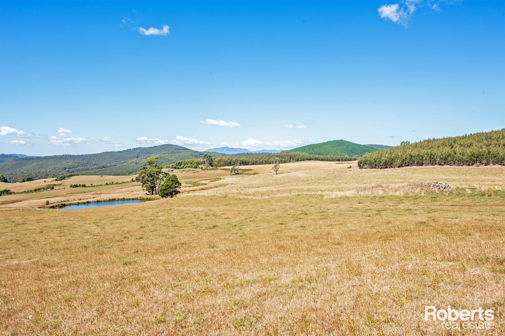 Additional image 5 of Lot 2 Tongs Road, Preston TAS 7315