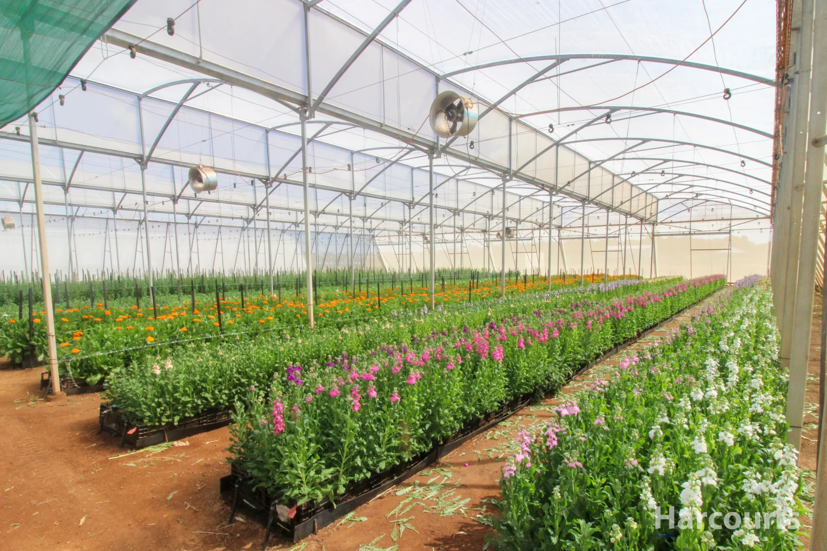 Additional image 2 of 106 Sheehans Road, Calavos QLD 4670