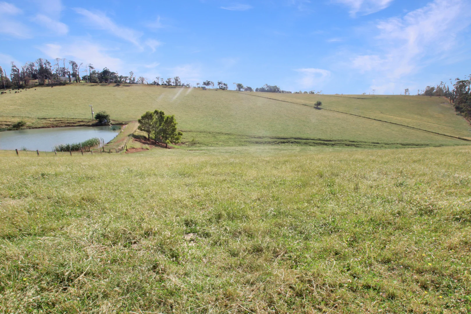 Additional image 8 of 3233 Strzelecki Highway, Mirboo North VIC 3871