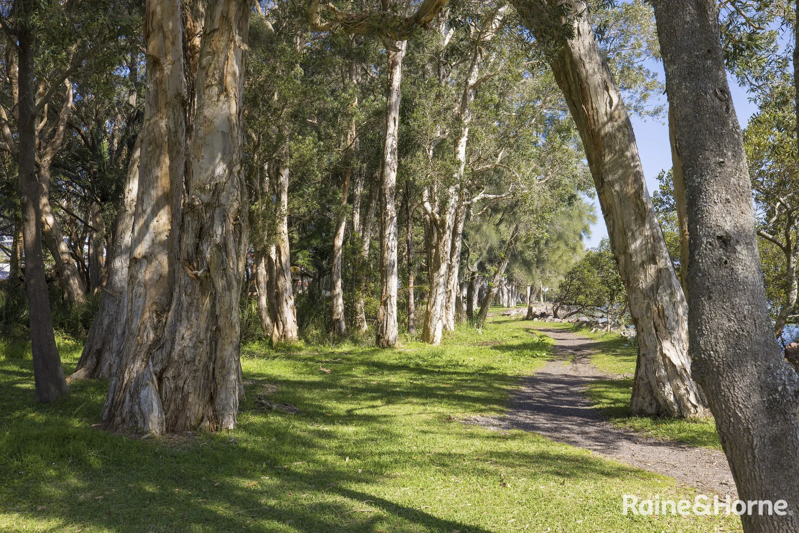 Additional image 48 of 32 Danalene Parade, Corlette NSW 2315