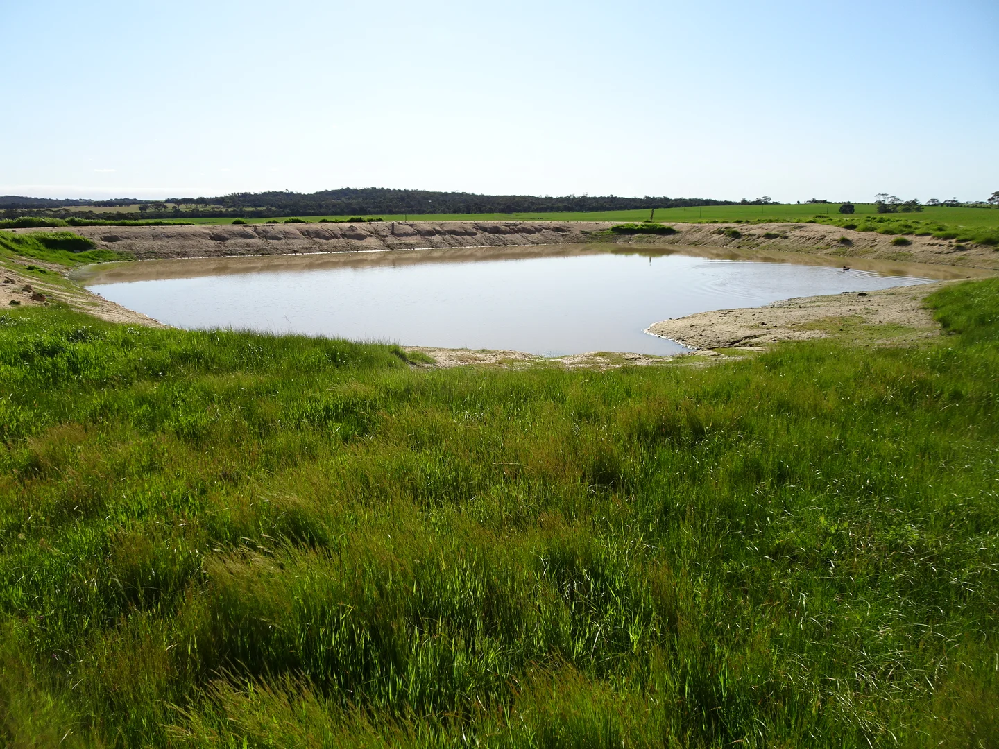 Additional image 6 of 140 Yenellin Road, Pingelly WA 6308