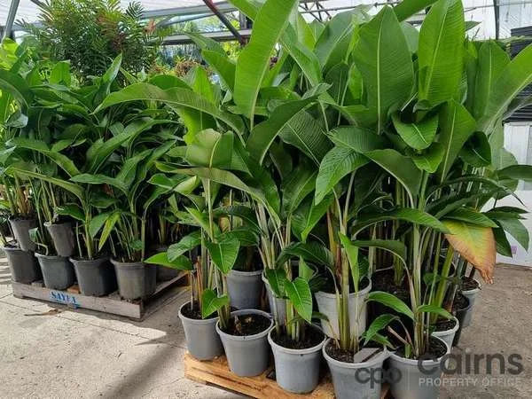 Additional image 11 of 15 Ross Road, Deeral QLD 4871