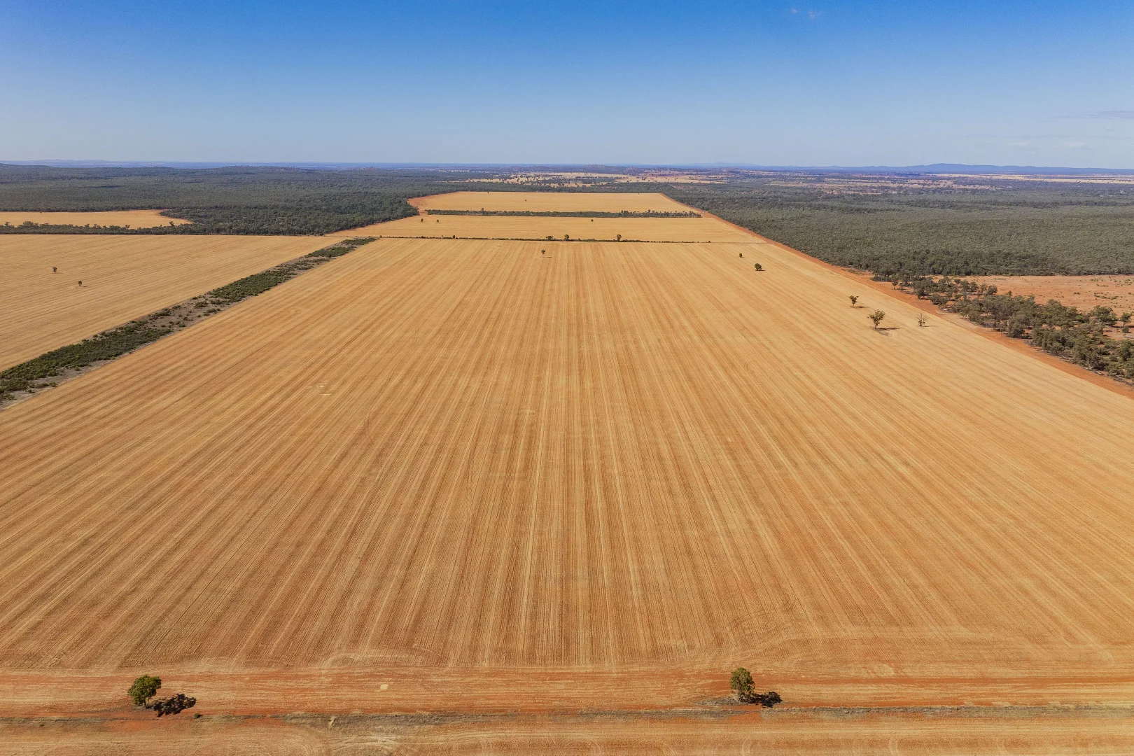 Additional image 12 of 2880 Tallebung Road, Condobolin NSW 2877