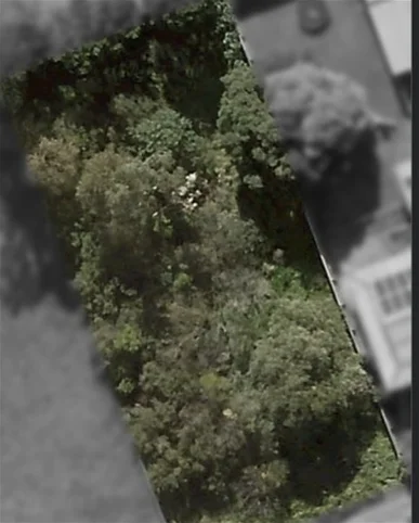 Additional image 5 of 1047 Lemon Tree Passage Road, Tanilba Bay NSW 2319