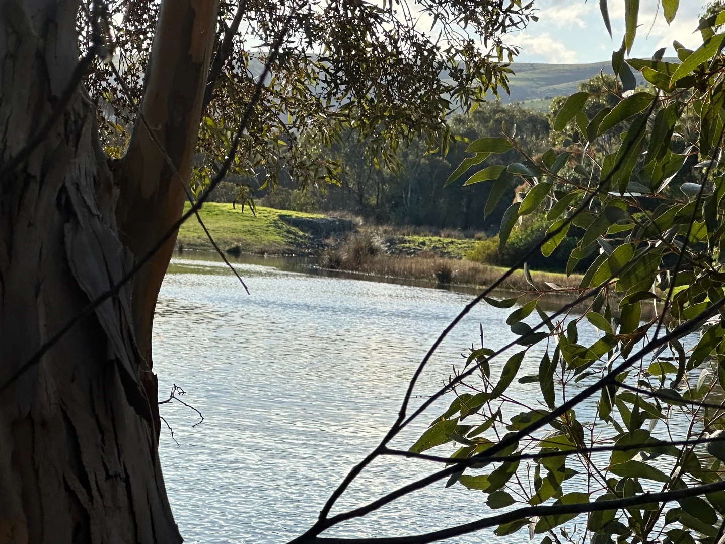 Additional image 18 of 14 Sun Orchid Drive, Chiton SA 5211