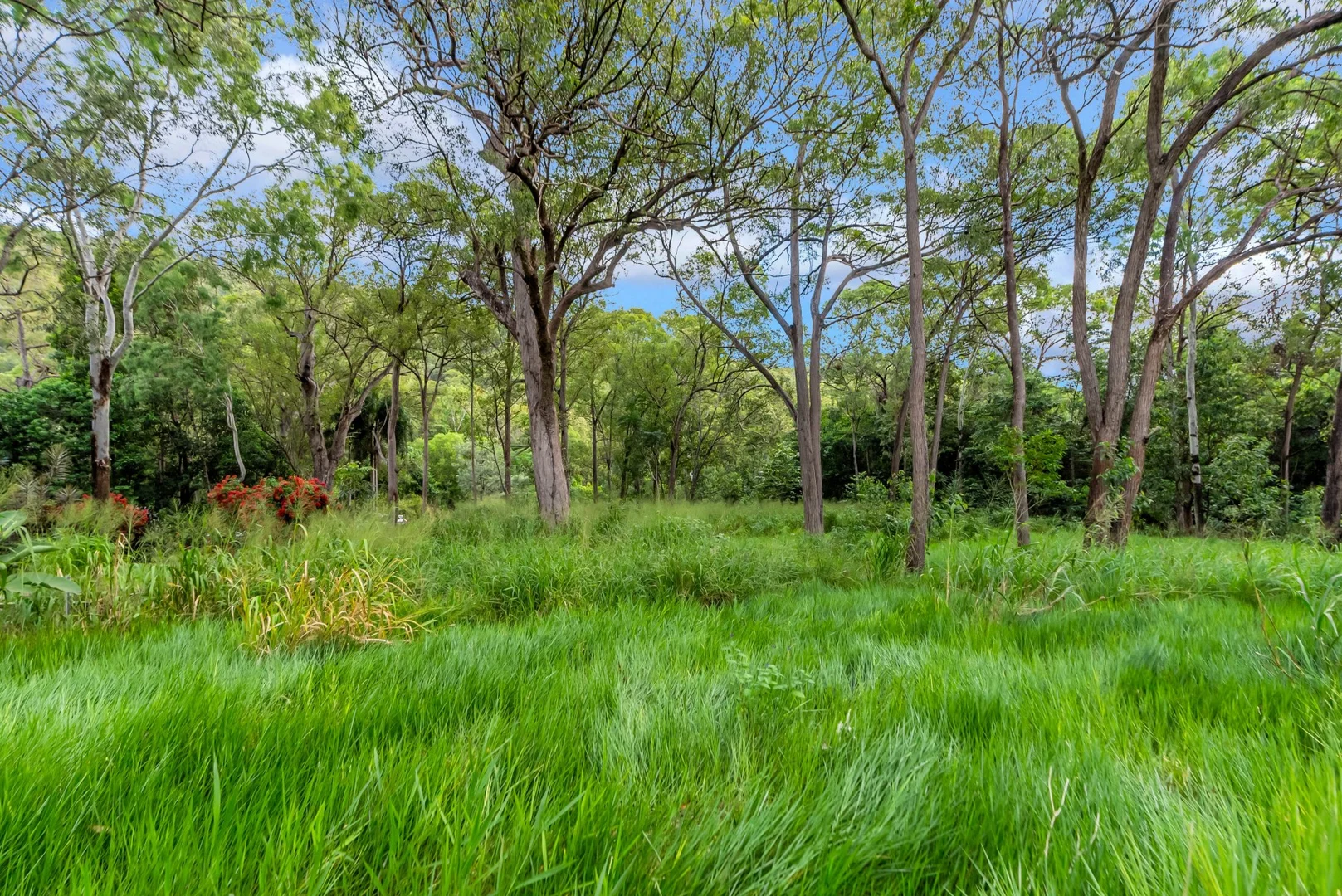 Additional image 28 of 2223 Pine Creek Yarrabah Road, East Trinity QLD 4871