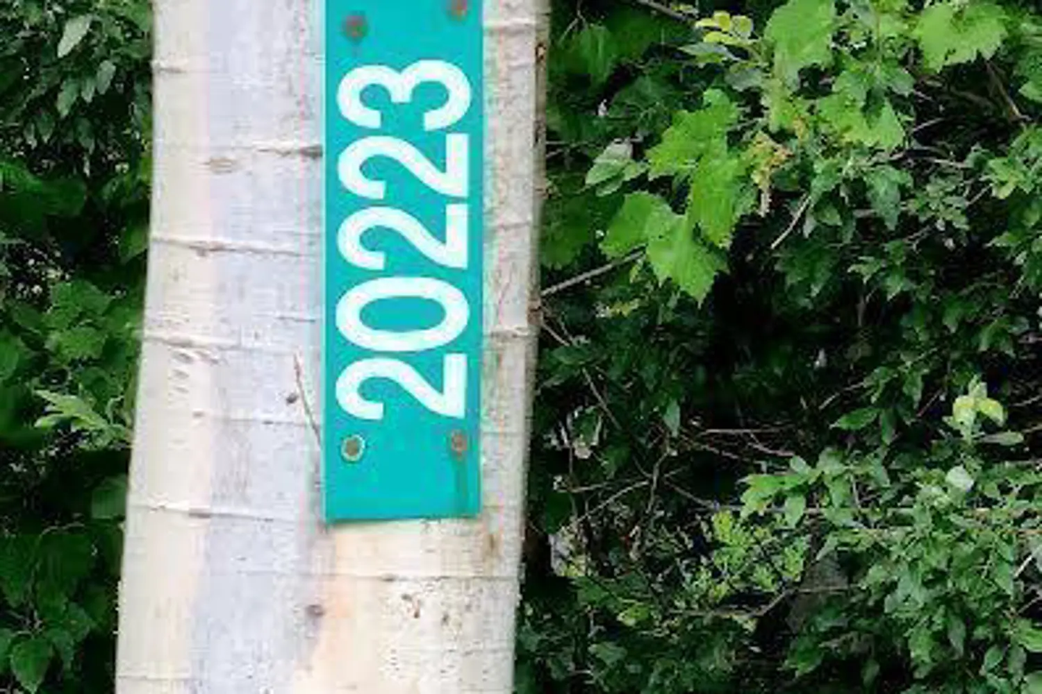 Additional image 6 of 20223 Bathurst Street