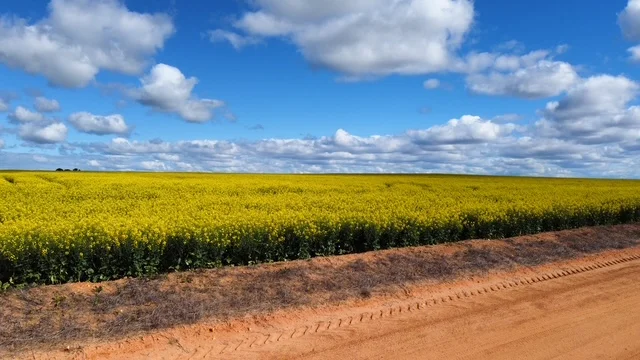 Additional image 8 of Midlands Road, Marchagee WA 6515