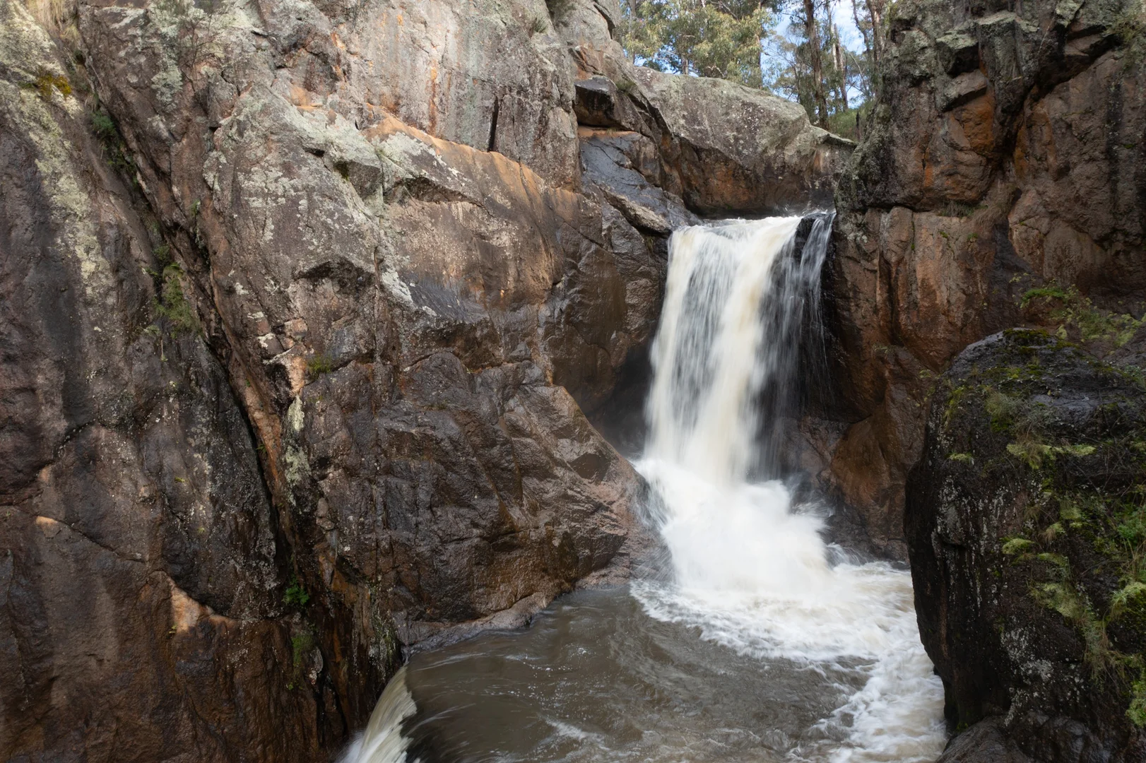 Additional image 4 of 379 Sheepstation Forest Road, Gingkin NSW 2787
