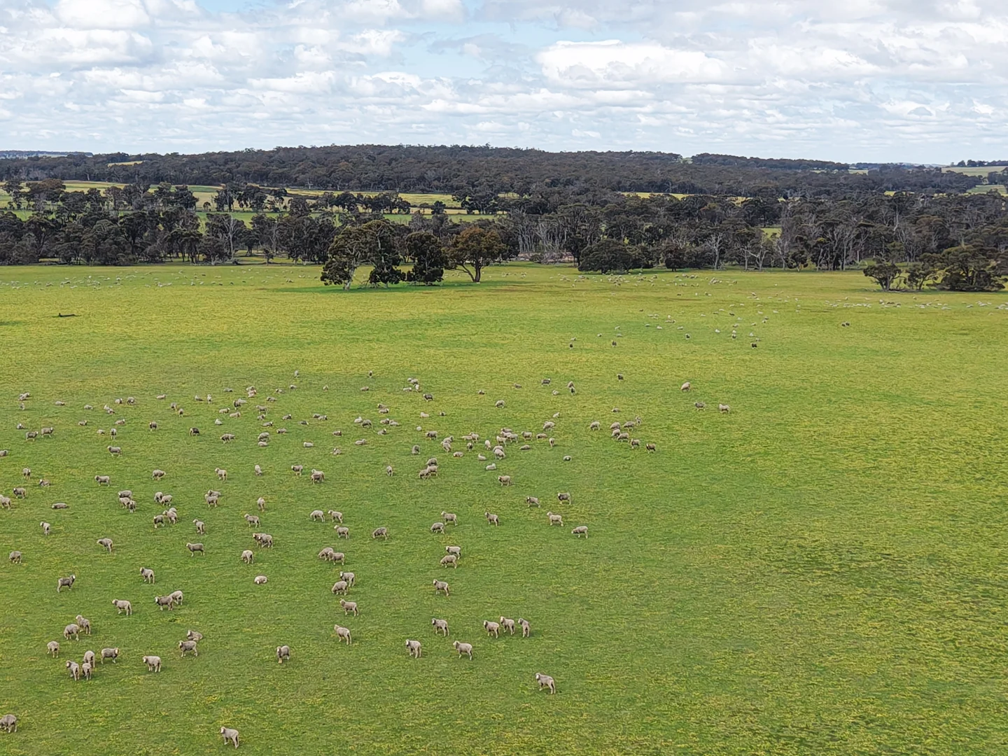 Additional image 5 of Lot 3 Scotts Brook Road, Mobrup WA 6395