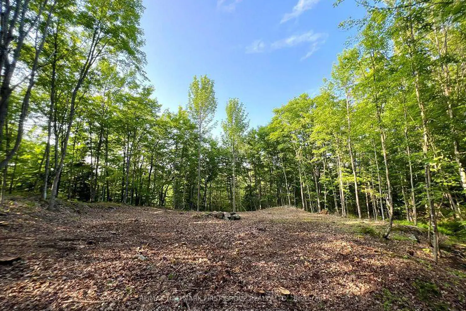 Additional image 11 of 678 Centreview Road