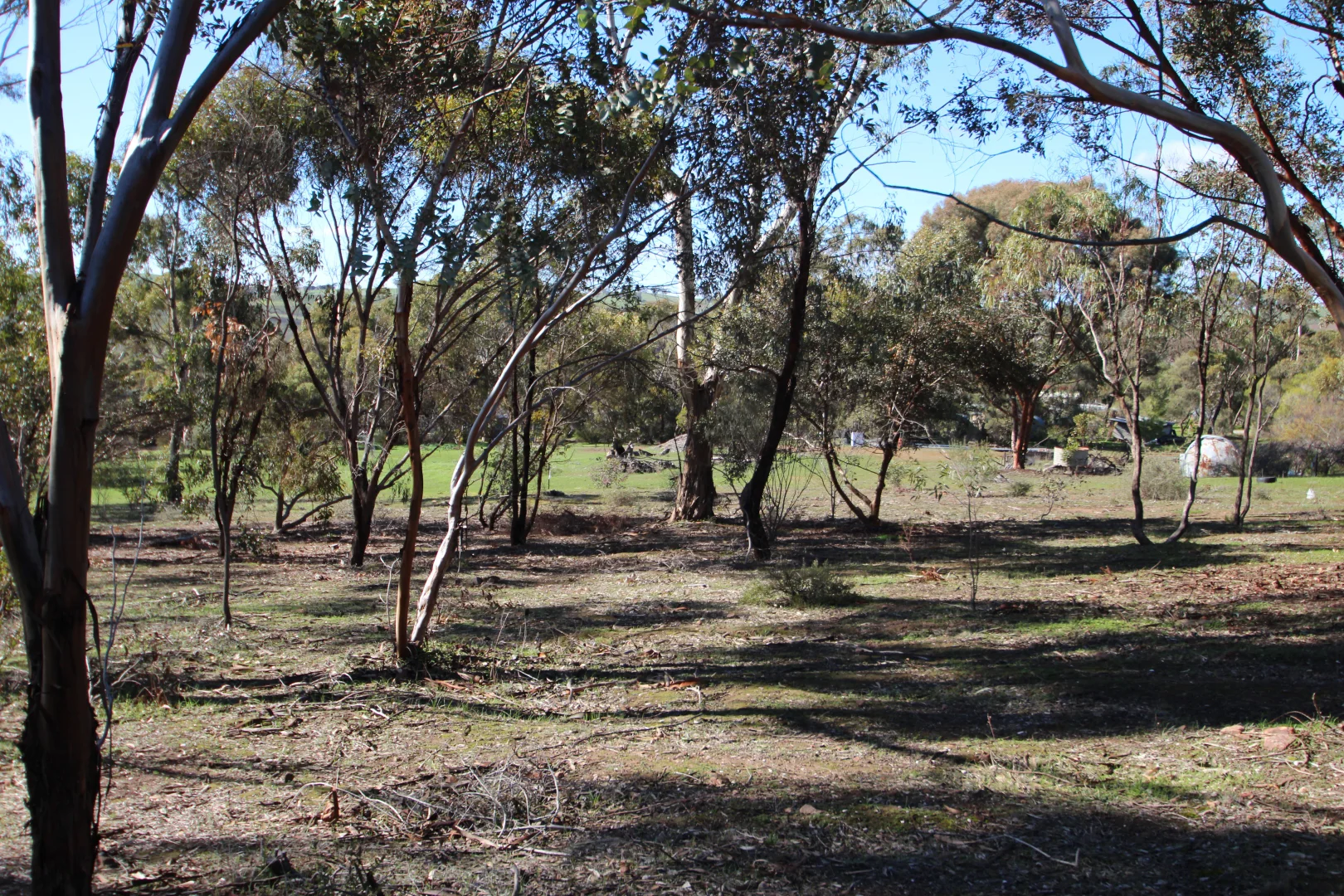 Additional image 5 of 8 West Terrace, Leasingham SA 5452