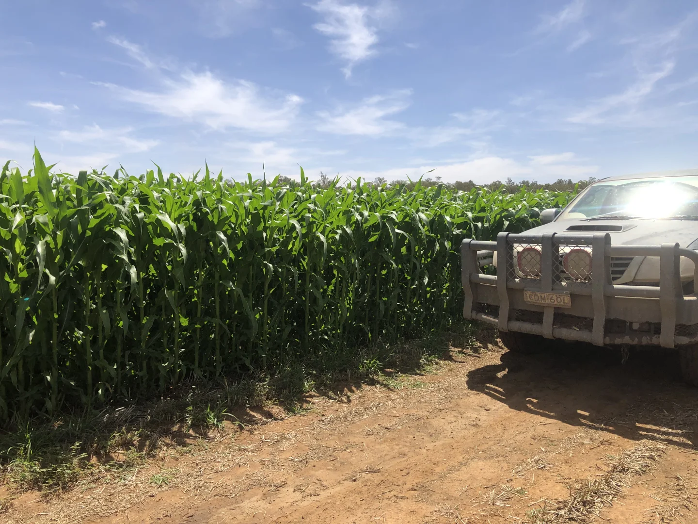 Additional image 22 of 4005 Lachlan Valley Way, Forbes NSW 2871