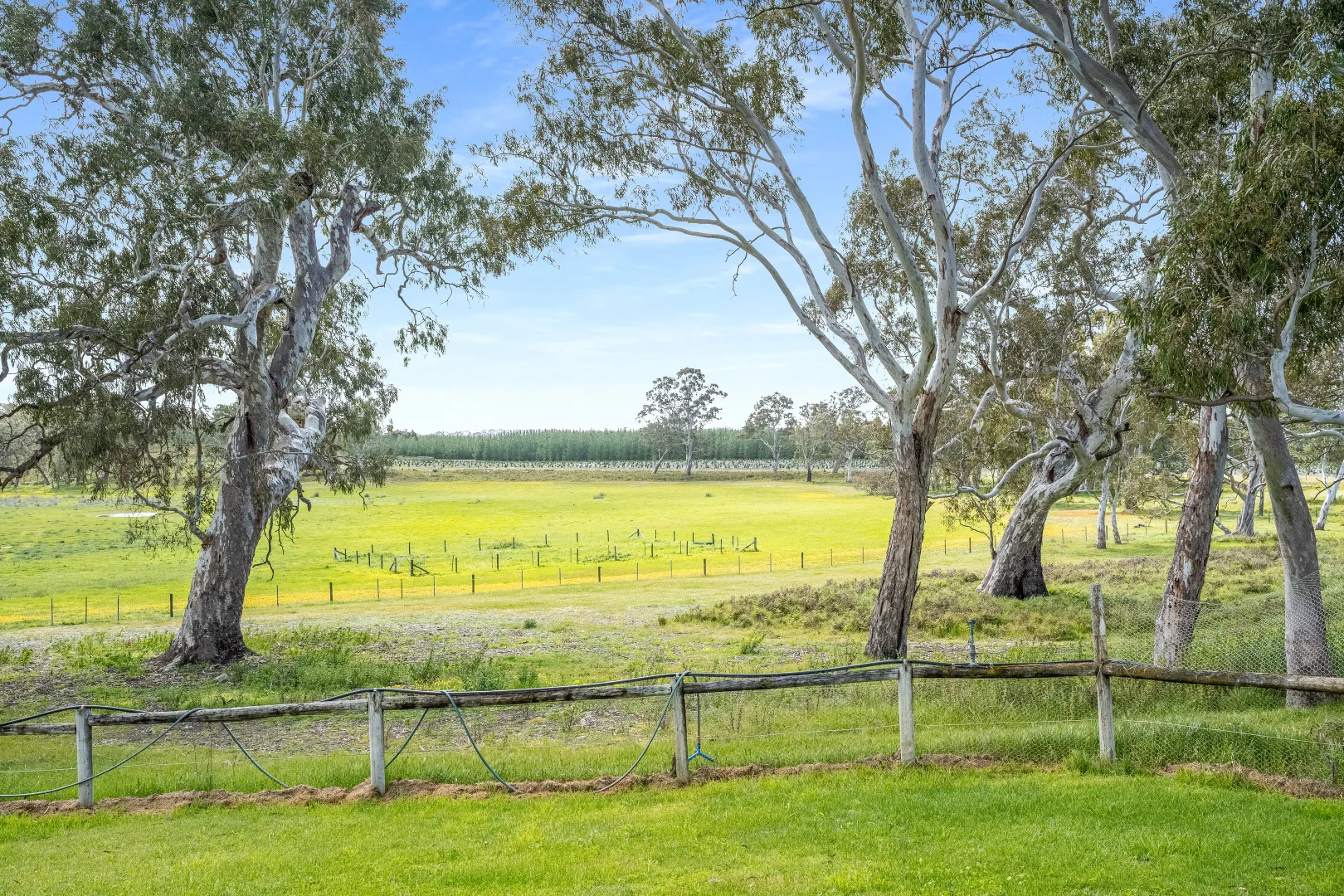 Additional image 30 of 1242 Old Comaum Rd, Coonawarra SA 5263