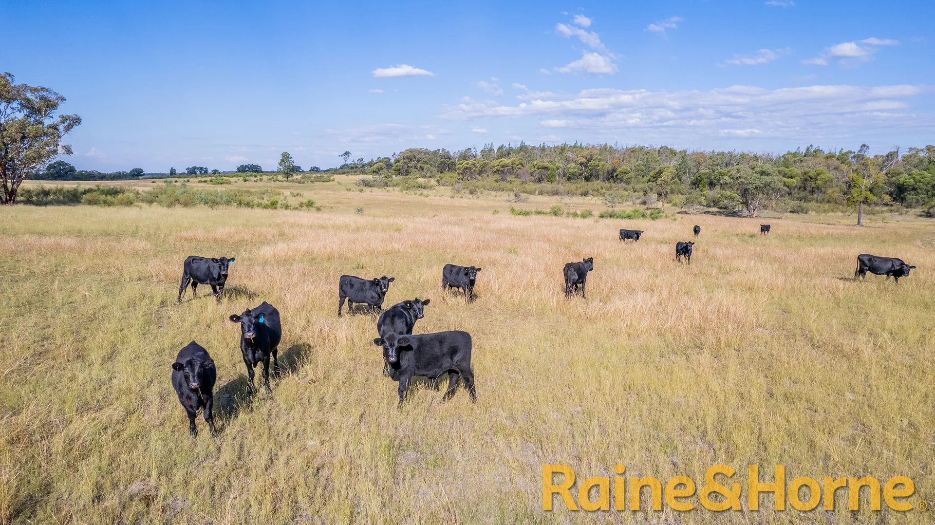 Additional image 23 of 235L Peak Hill Road, Dubbo NSW 2830